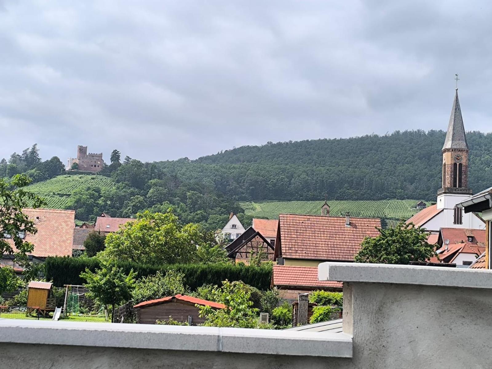 Gite Bonheur Et Charme Spa-Sauna Forfait 2H Inclus Kintzheim Bagian luar foto